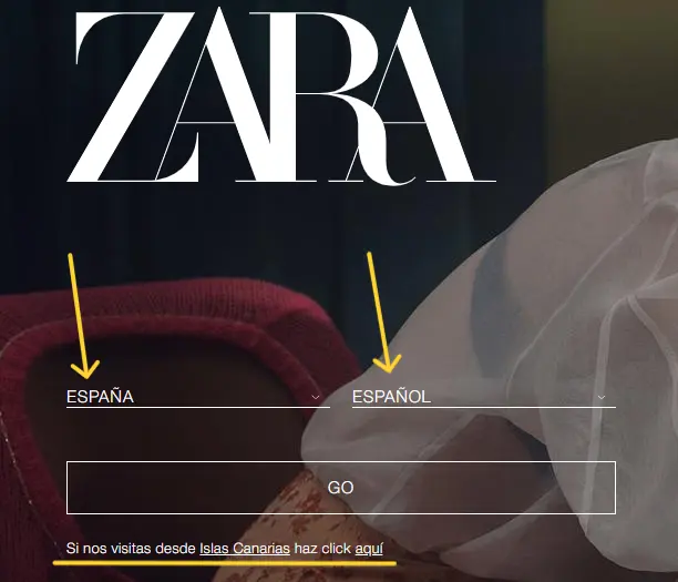 seo internacional estrategia, ejemplo web de zara